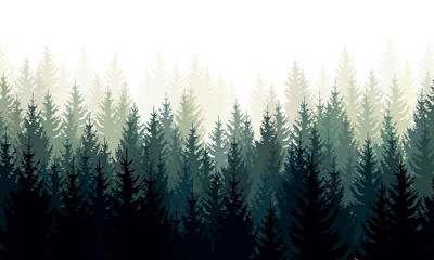 Wall Mural - vector landscape with green silhouettes of coniferous trees in the mist