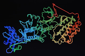 Structure of the protein molecule.