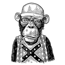 Monkey Redneck In Trucker Cap, T-shirt With Flag Confederate.