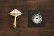 © David Smart/Stocksy - Mushroom and spore print made from the cap