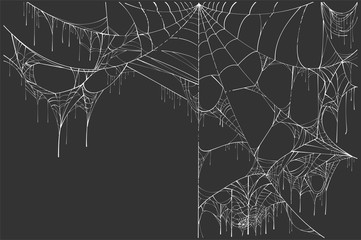 Wall Mural - large white torn spider web on black background. halloween scenery