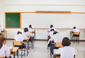 Wall Mural - behind girls group undergraduate students testing of examination in room and student sitting on row 