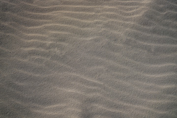 Cancun beach sand detail macro texture