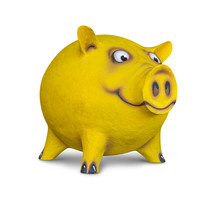 Funny Yellow Pig