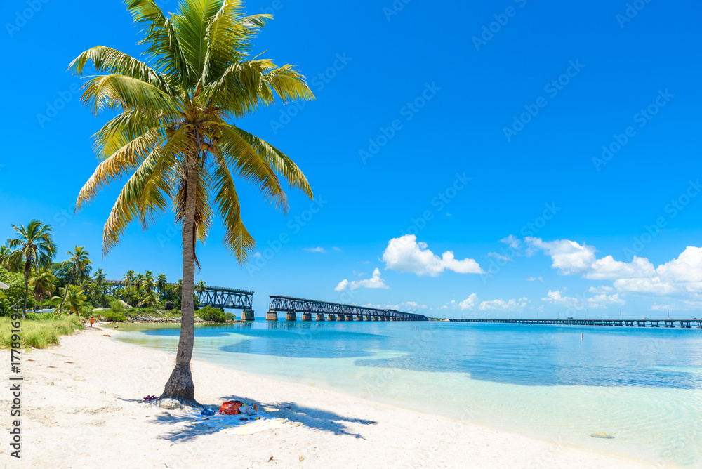 Bahia Honda State Park - Calusa Beach, Florida Keys - tropical coast with paradise beaches - USA - obrazy, fototapety, plakaty 