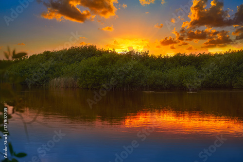 Fotomural Mangroove sunset in Riviera Maya Mexico