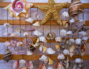 Wall Mural - seashell mobile wind chime hanging mexico