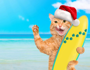 Wall Mural - Beautiful surfer cat wearing sunglasses relaxing in the sea .  Christmas.