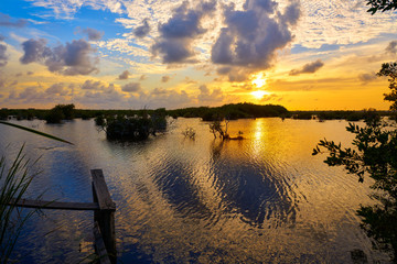  Mangroove sunset in Riviera Maya