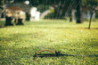 © Kelly Knox/Stocksy - lawn sprinkler watering grass in the morning