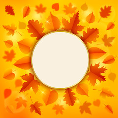 Wall Mural - Autumn background with leaves.