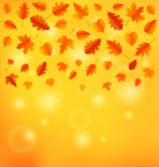 Wall Mural - Autumn background with leaves.