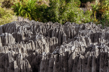 Wall Mural - Small Tsingy de Bemaraha, Madagascar