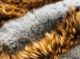 Brown and gray animal long-haired  fur texture background. Raccoon and rabbit types of pelts arranged in a row close-up