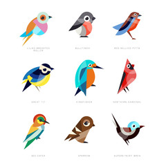 Wall Mural - different birds set, lilac breasted roller, bullfinch, red bellied pitta, great tit, kingfisher, nor