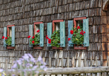 Historic Farmhouse Window With Red Geraniums.