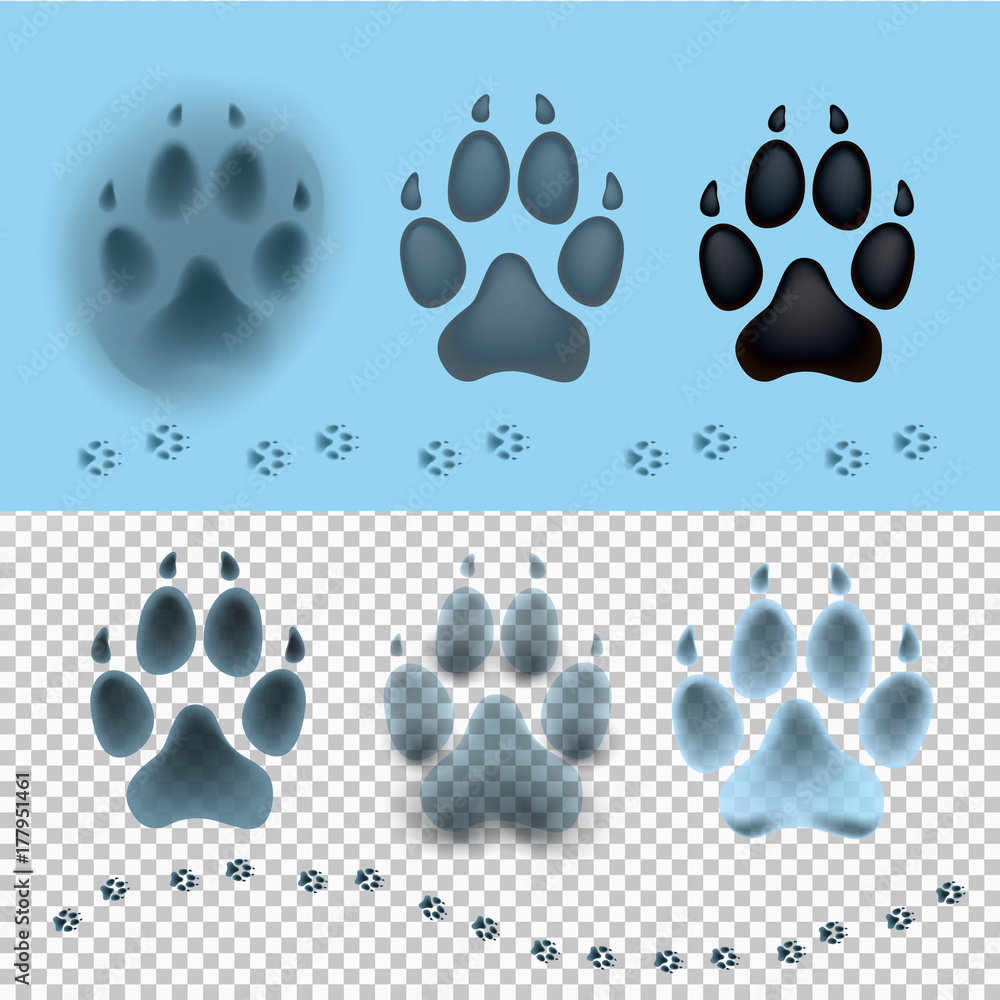 Vector de Stock Dog set paw print flat icon for animal apps and ...