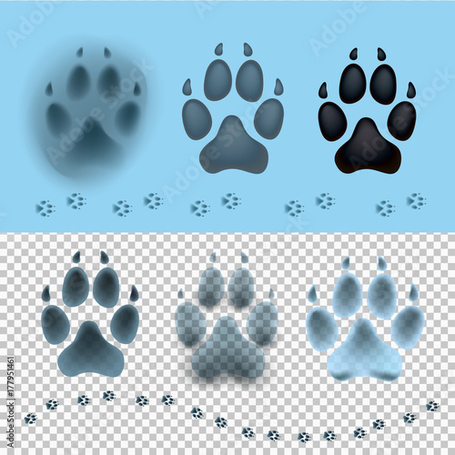 Dog Set Paw Print Flat Icon For Animal Apps And Websites