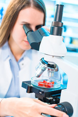 Wall Mural - Strawberry fruit research in laboratory. Food Processing and Quality Control