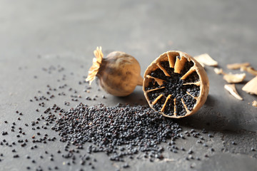 Poster - Poppy heads with seeds on table, closeup