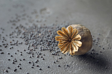 Poster - Poppy head with seeds on table, closeup