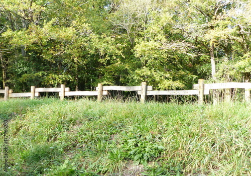 Barriere En Bois Cloture Naturelle De Jardin Buy This Stock Photo And Explore Similar Images At Adobe Stock Adobe Stock