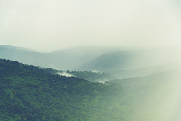 Wall Mural - landscape view of khao yai tropical forest in thailand, nature image for use about background or wal
