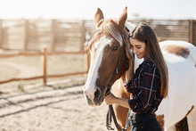 Young Woman Preparing To Become A Riding Instructor Taking Care And Talking To A Horse On A Hot Autumn Day.
