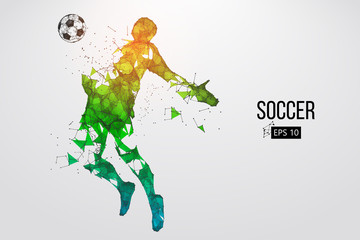 Wall Mural - silhouette of a football player from particles. Vector illustration