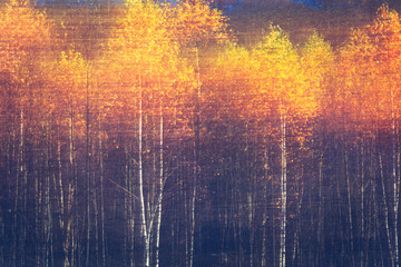 Autumnal textural scenic background with motion blur, toned in vintage style