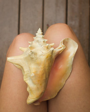 Conch Shell On Girls Lap