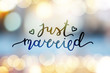 © redcollegiya - just married lettering, vector card with handwritten text