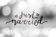 © redcollegiya - just married lettering, vector card with handwritten text