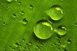 © Bonaoke/Stocksy - dew on green leaf