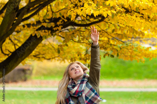 Zdjęcie XXL Kobiety odprowadzenie w parku, dotyka złotych liście