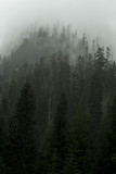 Fototapeta  - Washington Mountain