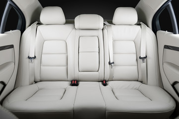 Wall Mural - Back passenger seats