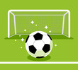 Soccer goal and ball on the green field.Vector illustration