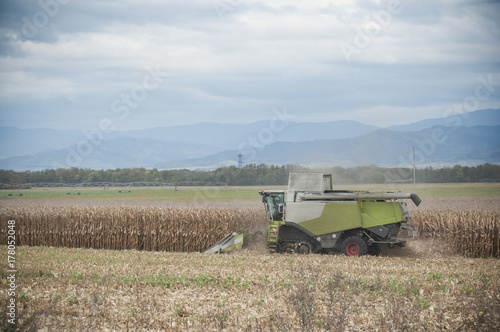 Zdjęcie XXL połączyć kombajn i pole kukurydzy