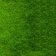 © Alexandr - Texture green grass. Background of green turf grass. Texture coating of a football field. Green lawn