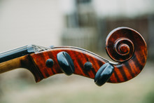 Cello Scroll And Tuning Pegs