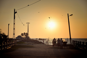 Wall Mural - local residents on the shores of Sri Lanka during a sunset