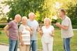© Africa Studio - Group of elderly people resting in park