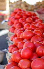 Wall Mural - Tomato Baskets