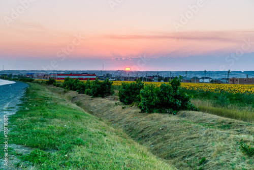 Zdjęcie XXL Zmierzch w wsi z słonecznika polem