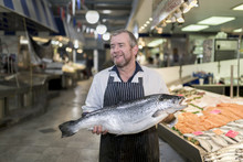Male Fishmonger Wearing An Apron Holding Large And Whole Salmon Fish In Front Of Display Counter Early In The Morning On A Market In England, UK.