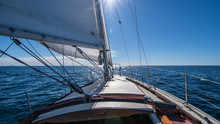 San Diego Sailing