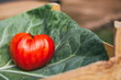 © Jovo Jovanovic/Stocksy - Close-up of heart shaped tomato on a green leaf