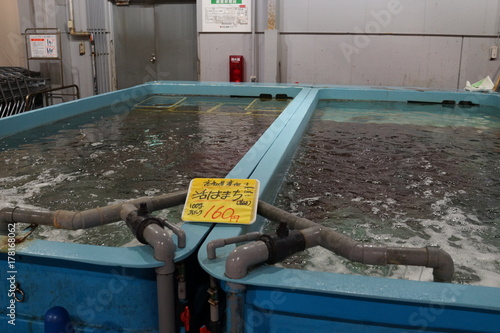 生簀 市場 販売 網 ハマチ 魚介類 Stock Photo Adobe Stock