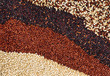 Black, red and white quinoa grains.